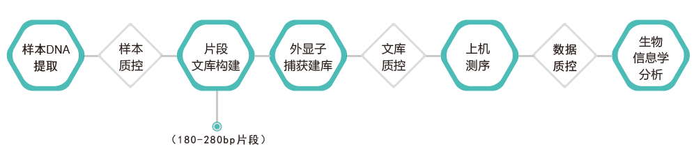 全外显子测序-技术路线-盛煌娱乐之梦基因