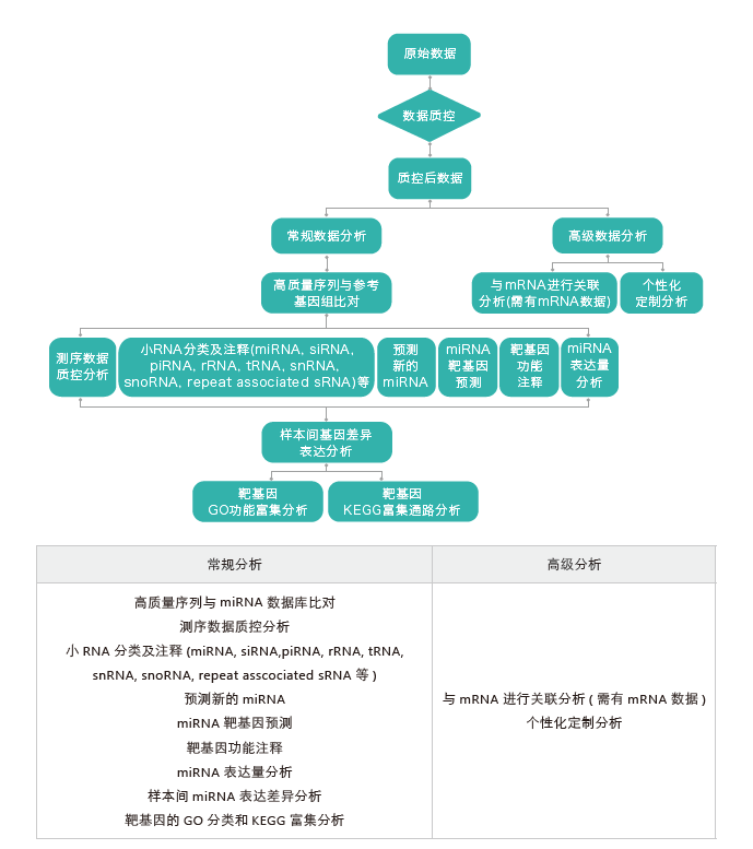 小RNA（small RNA）测序-生信分析流程-盛煌娱乐之梦基因