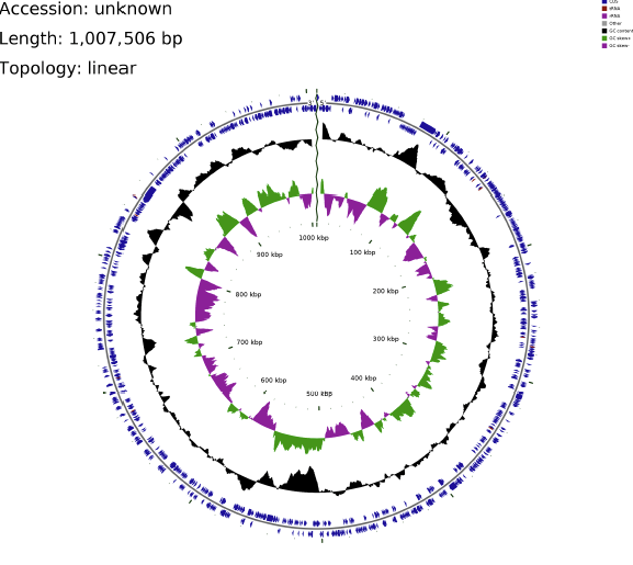菌种（单菌）鉴定-给予结果-基因组环状注释图