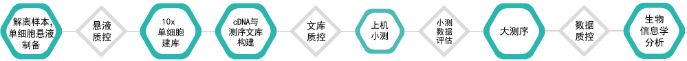 单细胞转录组测序-技术流程-盛煌娱乐之梦基因